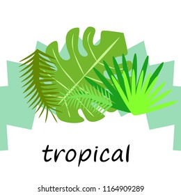 tropical summer tropical plant vector background