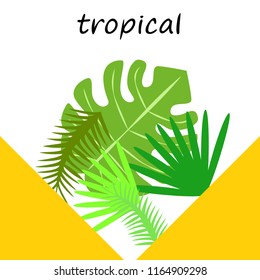 tropical summer tropical plant vector background