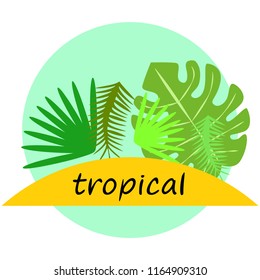 tropical summer tropical plant vector background
