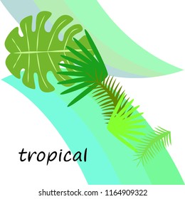 tropical summer tropical plant vector background