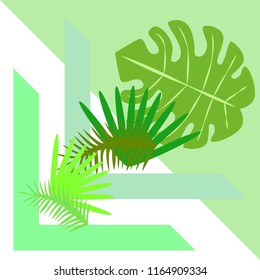 tropical summer tropical plant vector background