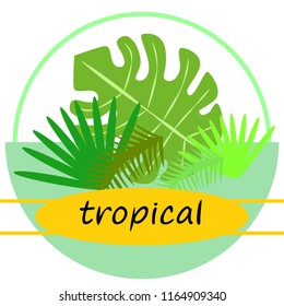 tropical summer tropical plant vector background