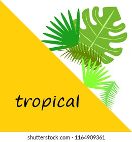 tropical summer tropical plant vector background
