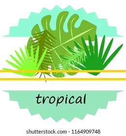 tropical summer tropical plant vector background