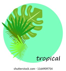 tropical summer tropical plant vector background