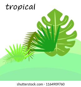 tropical summer tropical plant vector background