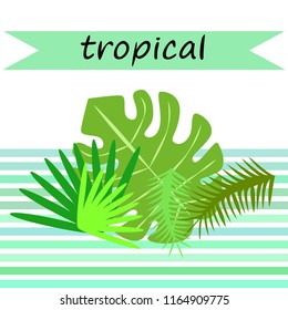 tropical summer tropical plant vector background