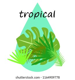 tropical summer tropical plant vector background