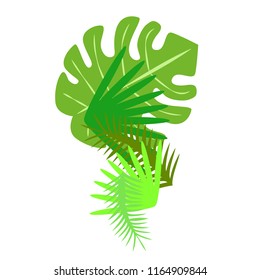 tropical summer tropical plant vector background