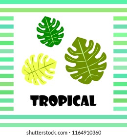 tropical summer tropical plant vector background