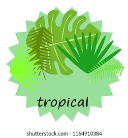 tropical summer tropical plant vector background