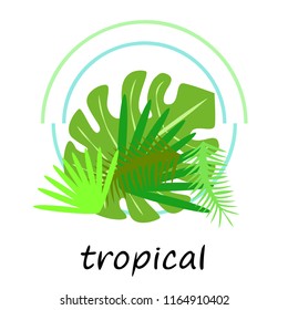 tropical summer tropical plant vector background