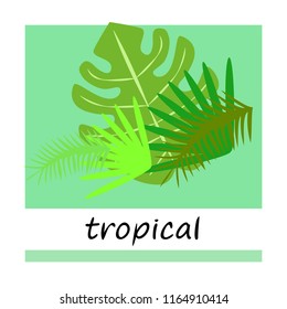 tropical summer tropical plant vector background