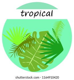 tropical summer tropical plant vector background