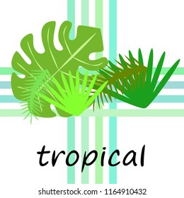 tropical summer tropical plant vector background