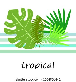 tropical summer tropical plant vector background