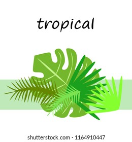 tropical summer tropical plant vector background