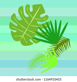 tropical summer tropical plant vector background
