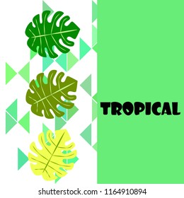 tropical summer tropical plant vector background