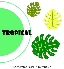 tropical summer tropical plant vector background