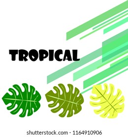 tropical summer tropical plant vector background