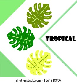 tropical summer tropical plant vector background