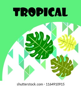 tropical summer tropical plant vector background