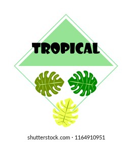 tropical summer tropical plant vector background