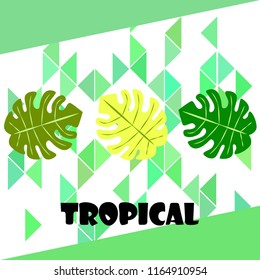 tropical summer tropical plant vector background