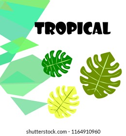 tropical summer tropical plant vector background