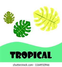 tropical summer tropical plant vector background
