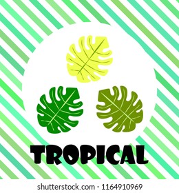 tropical summer tropical plant vector background