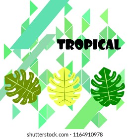 tropical summer tropical plant vector background