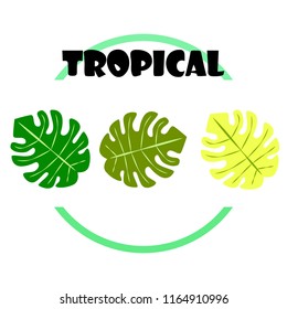 tropical summer tropical plant vector background