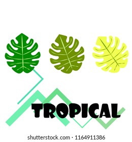 tropical summer tropical plant vector background