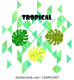 tropical summer tropical plant vector background