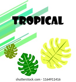 tropical summer tropical plant vector background