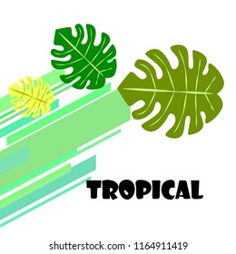 tropical summer tropical plant vector background