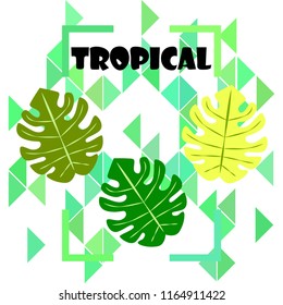 tropical summer tropical plant vector background