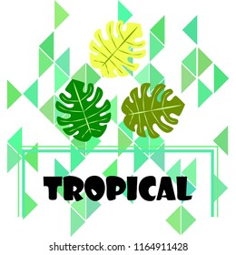 tropical summer tropical plant vector background
