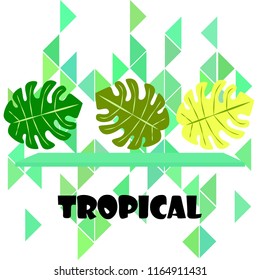 tropical summer tropical plant vector background