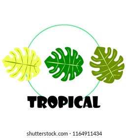 tropical summer tropical plant vector background