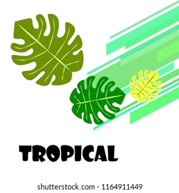 tropical summer tropical plant vector background