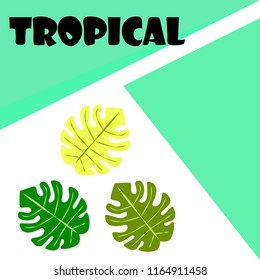 tropical summer tropical plant vector background