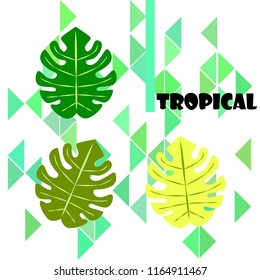tropical summer tropical plant vector background