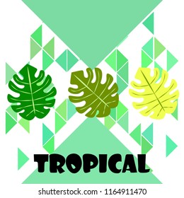 tropical summer tropical plant vector background
