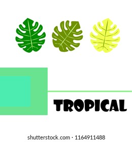 tropical summer tropical plant vector background