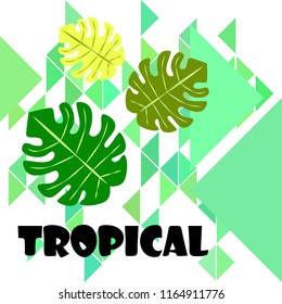 tropical summer tropical plant vector background
