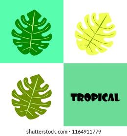 tropical summer tropical plant vector background