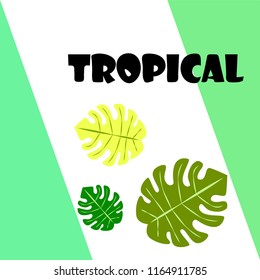 tropical summer tropical plant vector background